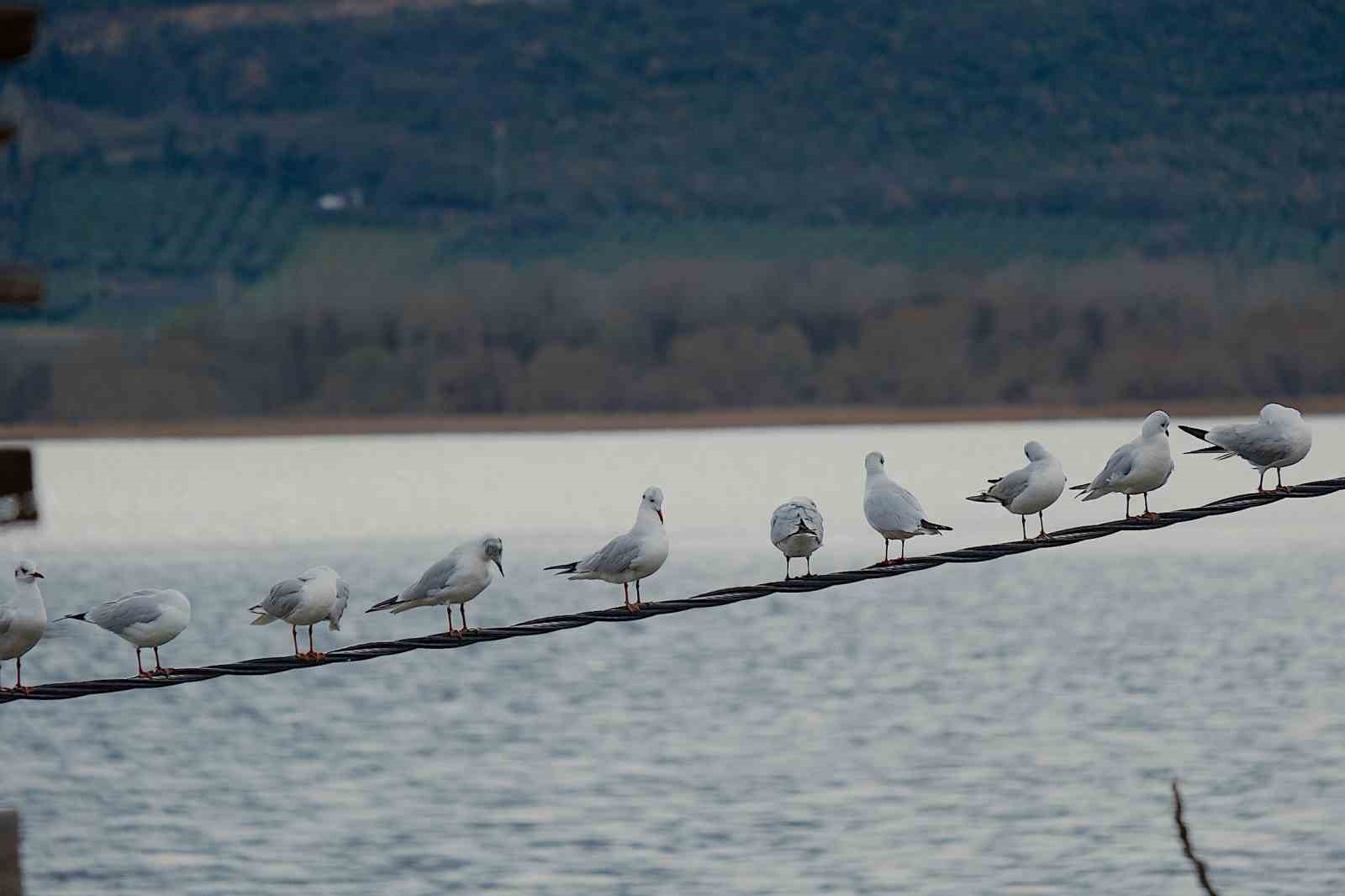 Kuraklıkla boğuşuyordu...Yağışlarla yeniden küçük Venedik oldu
Kuraklıkla boğuşuyordu...Yağışlarla yeniden küçük Venedik oldu