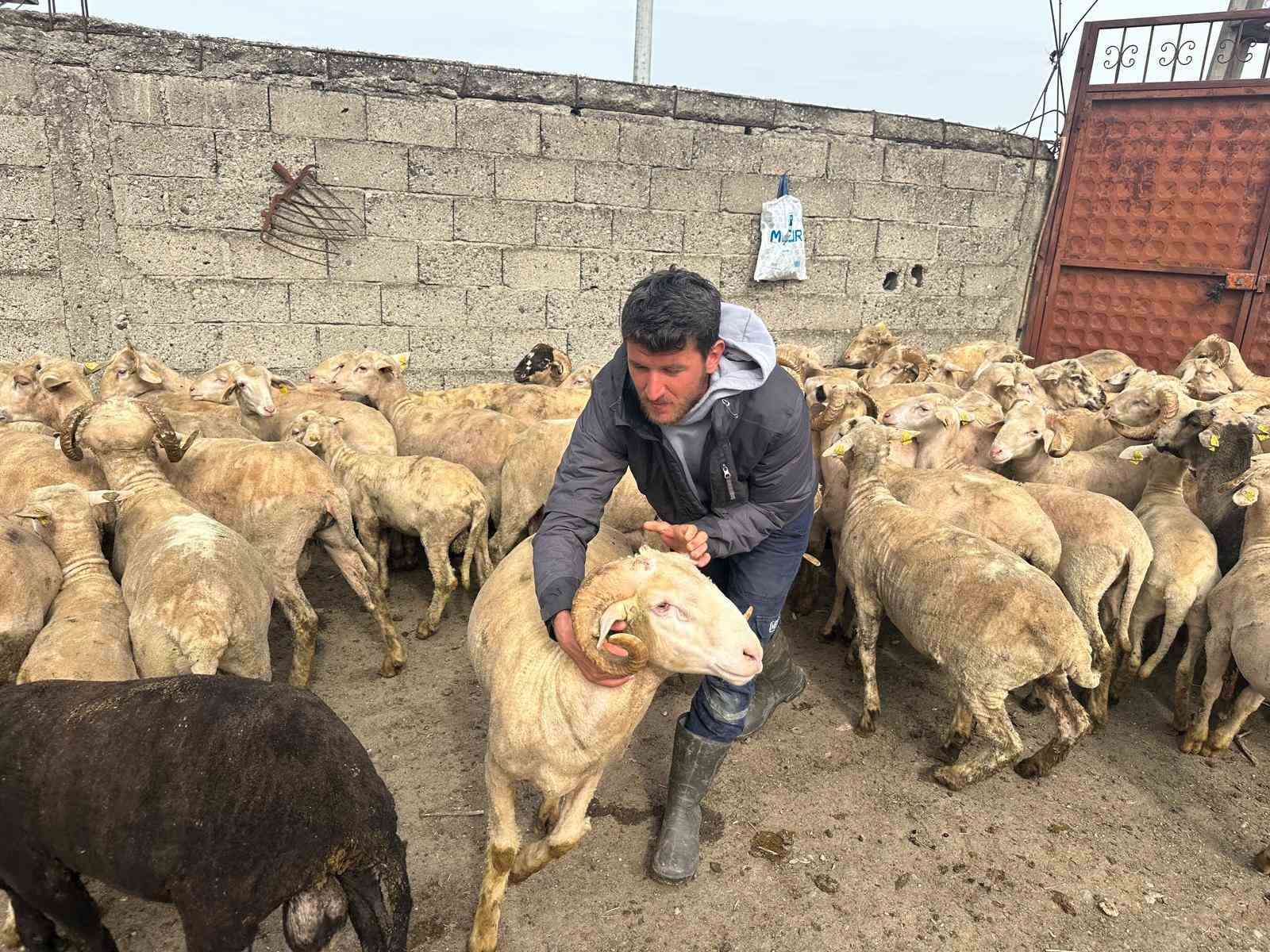 Kurbanlık parasıyla evlenmişti şimdi doğacak bebeği için kullanacak
