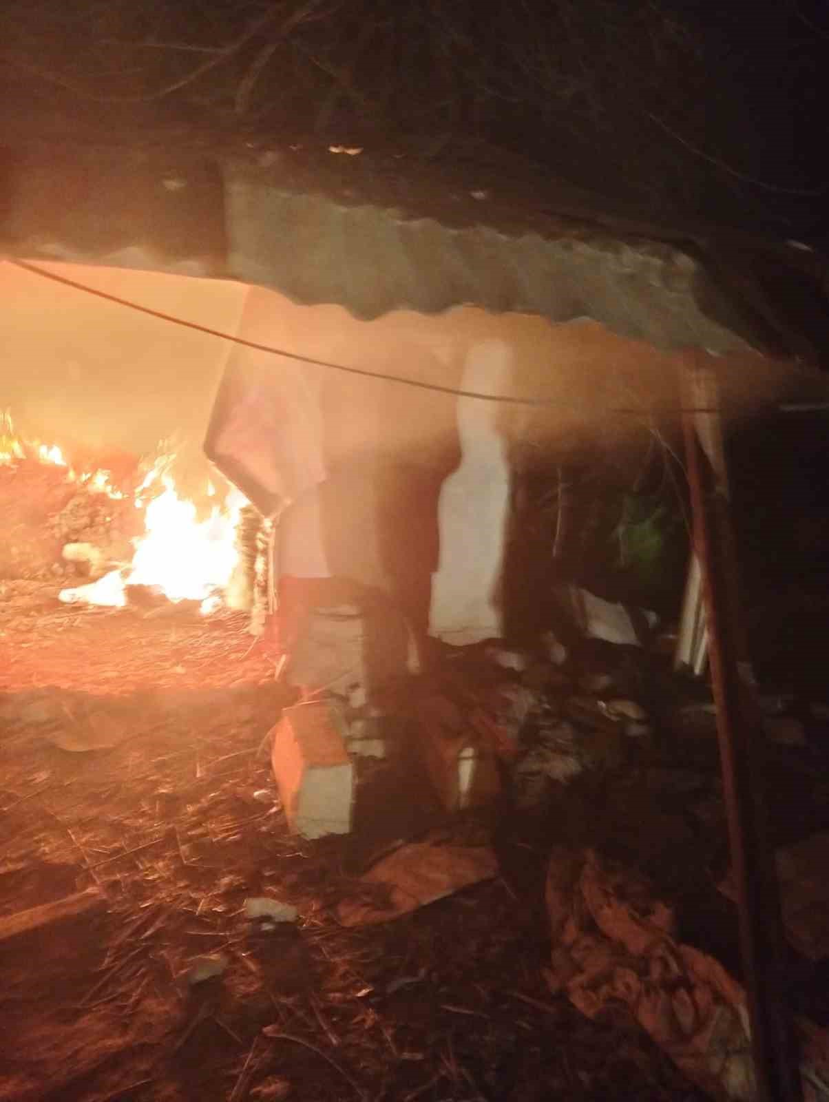 Kursun odunluk deposunda çıkan yangın korkuttu
