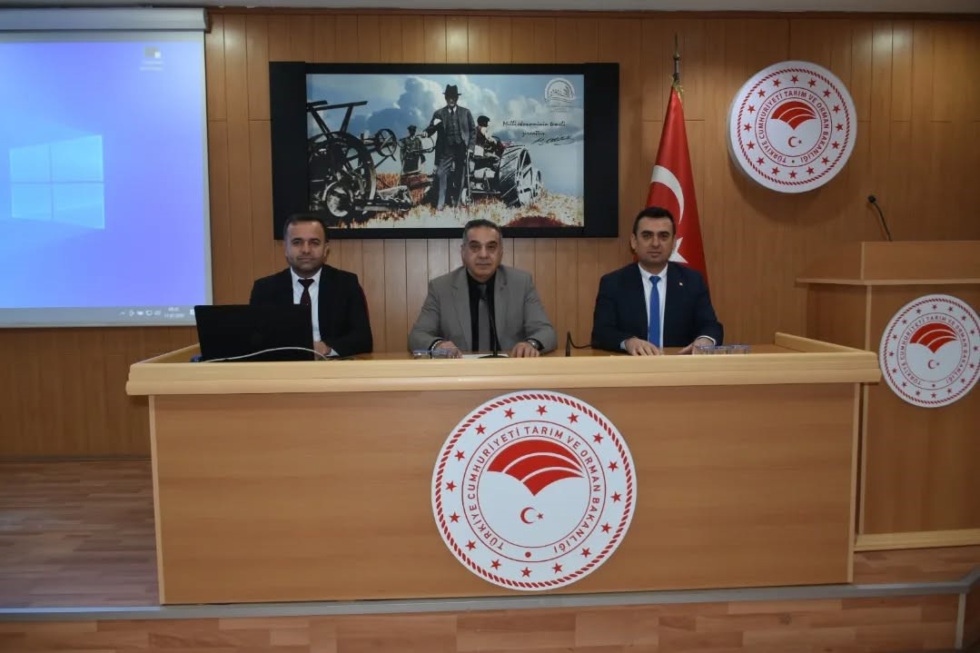 Kuru incirde gıda güvenilirliği artırılacak
