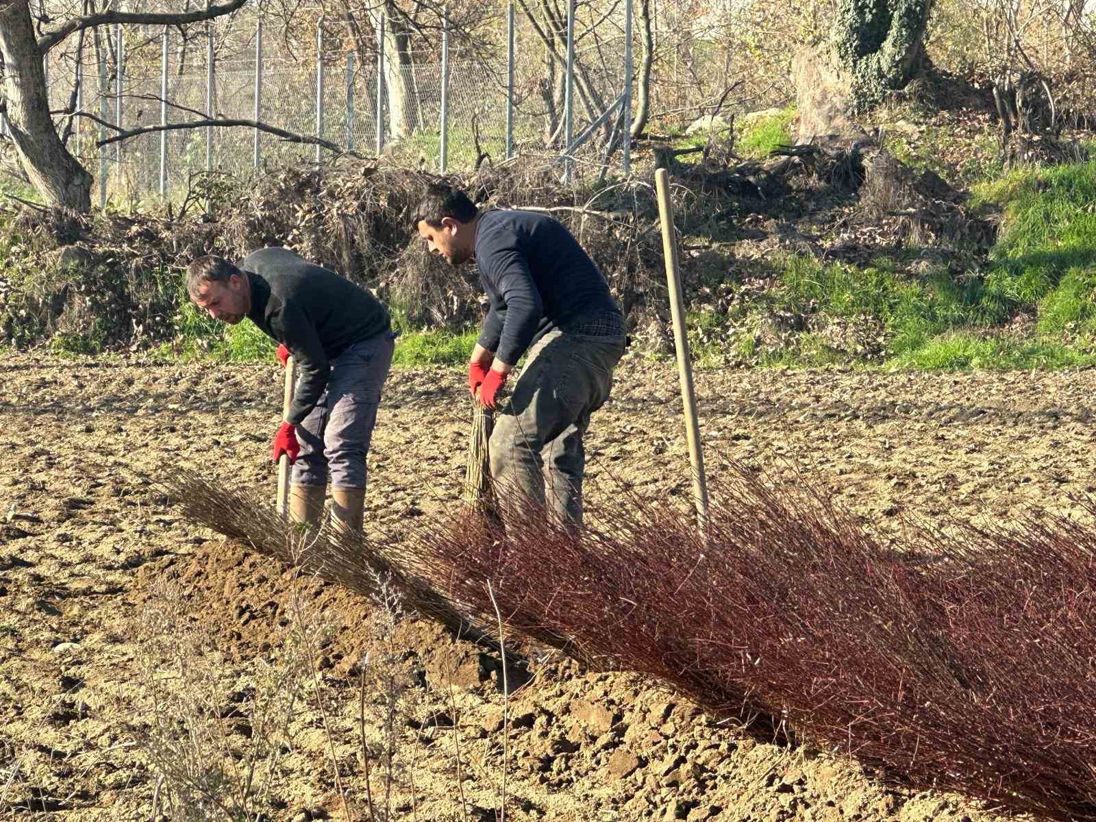 Kurulan her meyve bahçesinde "Bursa" imzası var
Kurulan her meyve bahçesinde "Bursa" imzası var