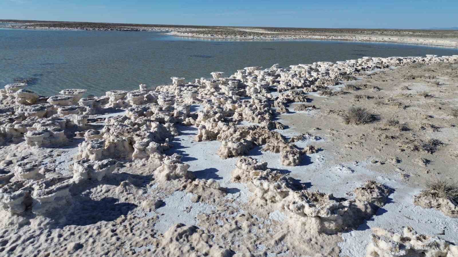 Kuruma tehlikesi yaşanan Tuz Gölü yeniden canlandı
Kuruma tehlikesi yaşanan Tuz Gölü yeniden canlandı