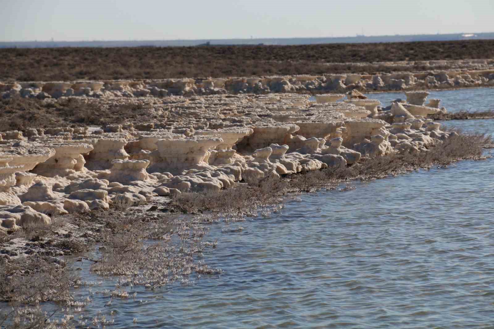 Kuruma tehlikesi yaşanan Tuz Gölü yeniden canlandı
Kuruma tehlikesi yaşanan Tuz Gölü yeniden canlandı