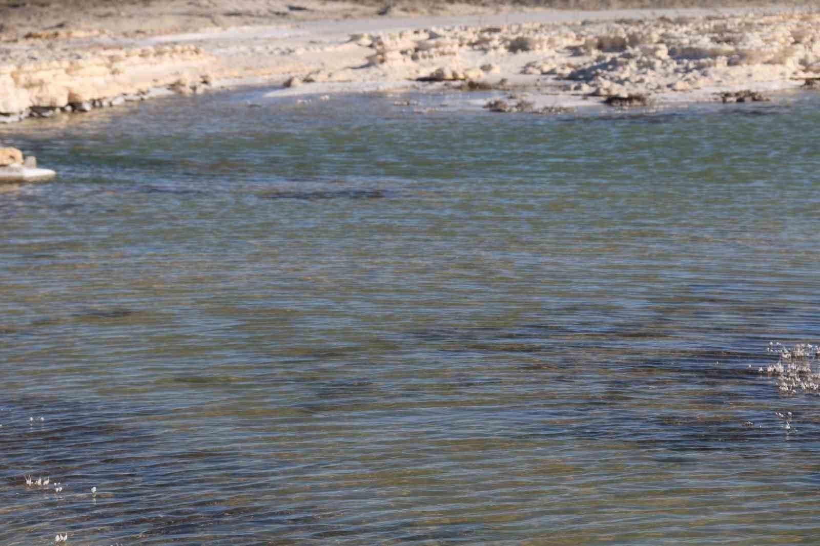 Kuruma tehlikesi yaşanan Tuz Gölü yeniden canlandı
Kuruma tehlikesi yaşanan Tuz Gölü yeniden canlandı