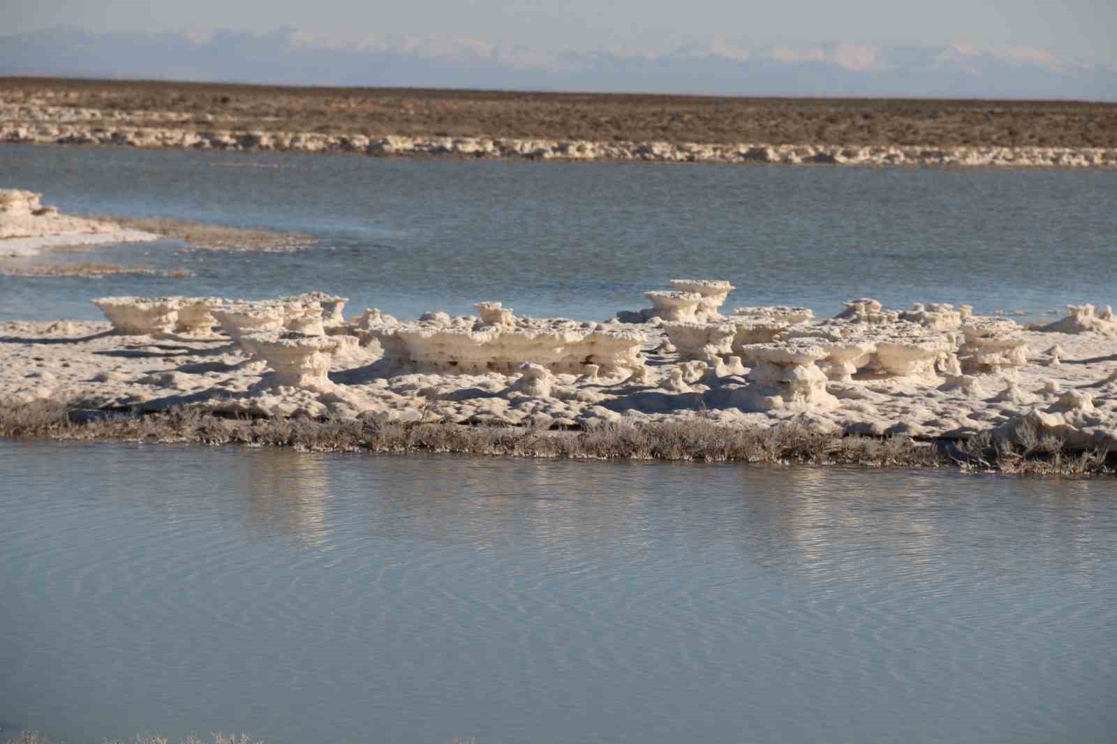 Kuruma tehlikesi yaşanan Tuz Gölü yeniden canlandı
Kuruma tehlikesi yaşanan Tuz Gölü yeniden canlandı