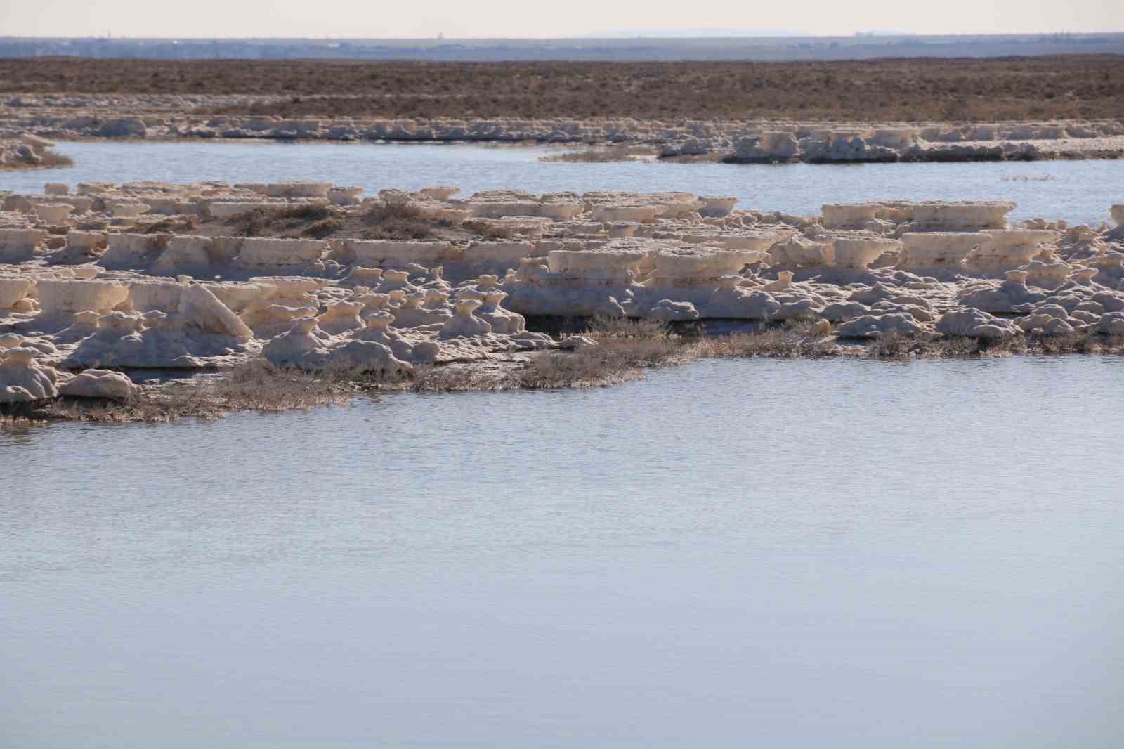 Kuruma tehlikesi yaşanan Tuz Gölü yeniden canlandı
Kuruma tehlikesi yaşanan Tuz Gölü yeniden canlandı