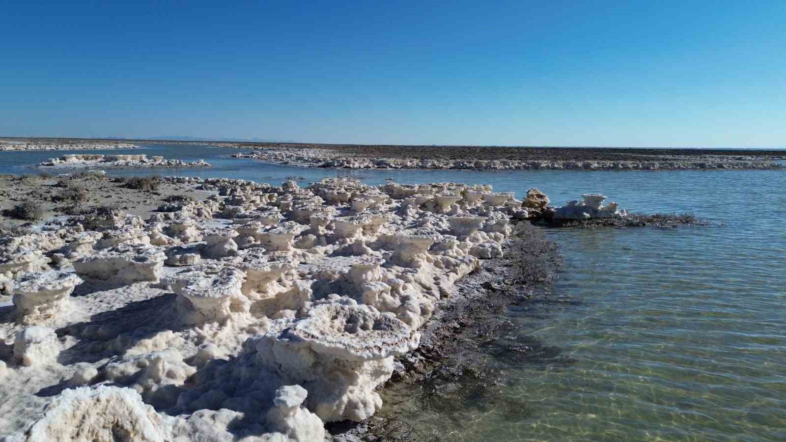 Kuruma tehlikesi yaşanan Tuz Gölü yeniden canlandı
Kuruma tehlikesi yaşanan Tuz Gölü yeniden canlandı