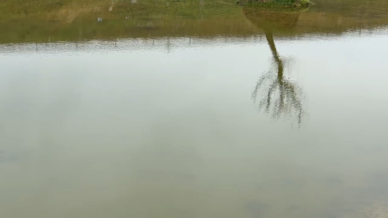 Kuruyan gölet yeniden canlandı: Çatlayan topraklar suyla buluştu
