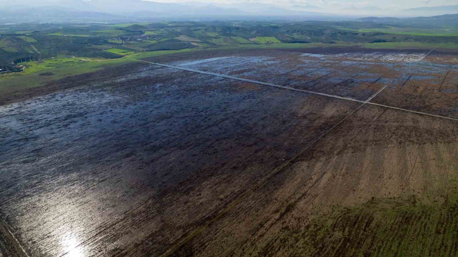 Kuruyan Marmara Gölünde umutlandıran görüntü
