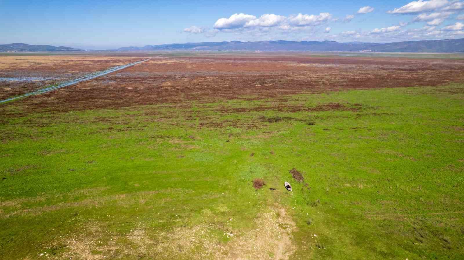 Kuruyan Marmara Gölünde umutlandıran görüntü
