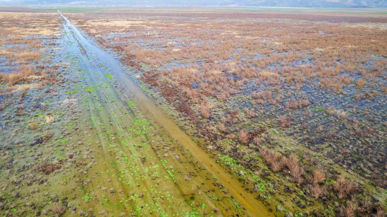 Kuruyan Marmara Gölünde umutlandıran görüntü
