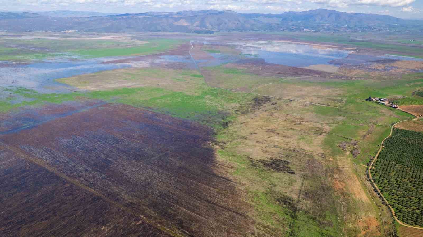 Kuruyan Marmara Gölünde umutlandıran görüntü
