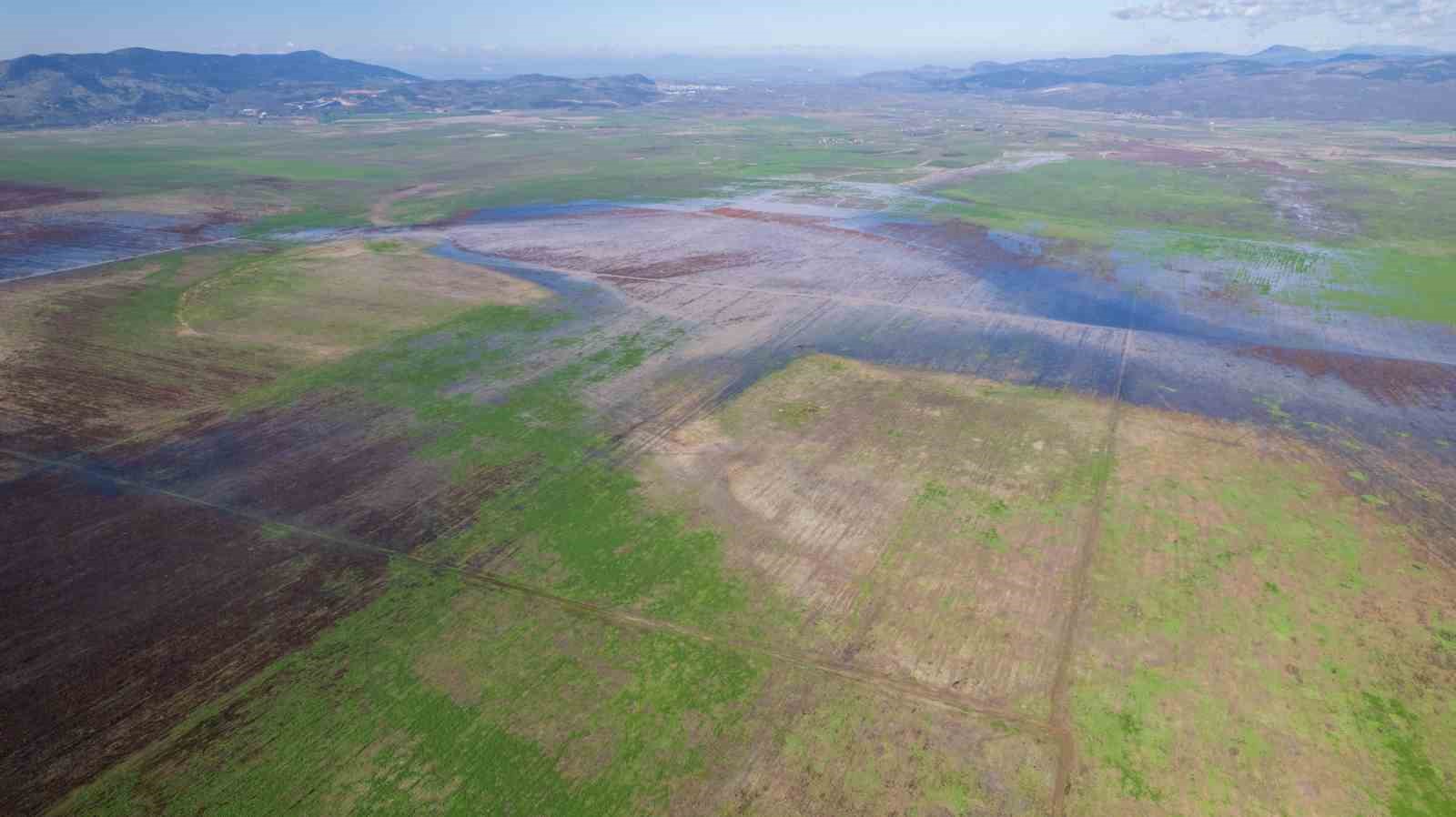 Kuruyan Marmara Gölünde umutlandıran görüntü
