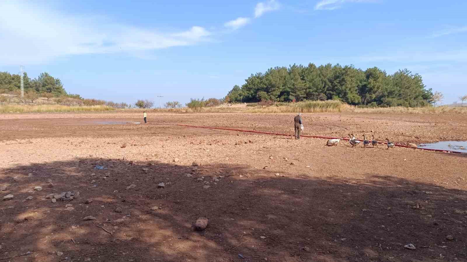 Kuruyan Sülüklü Göl yeniden canlandı
Kuruyan Sülüklü Göl yeniden canlandı