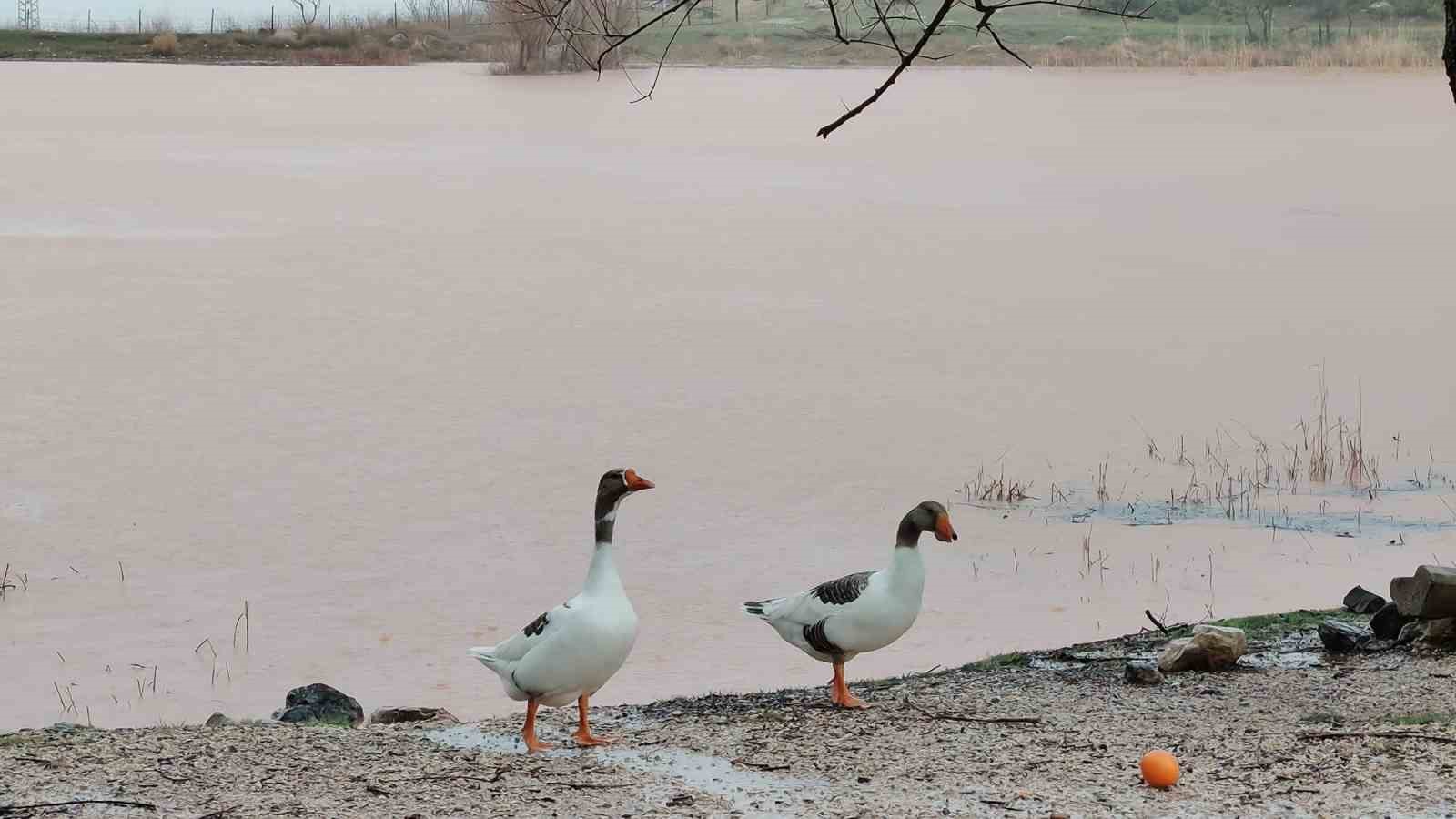 Kuruyan Sülüklü Göl yeniden canlandı
Kuruyan Sülüklü Göl yeniden canlandı