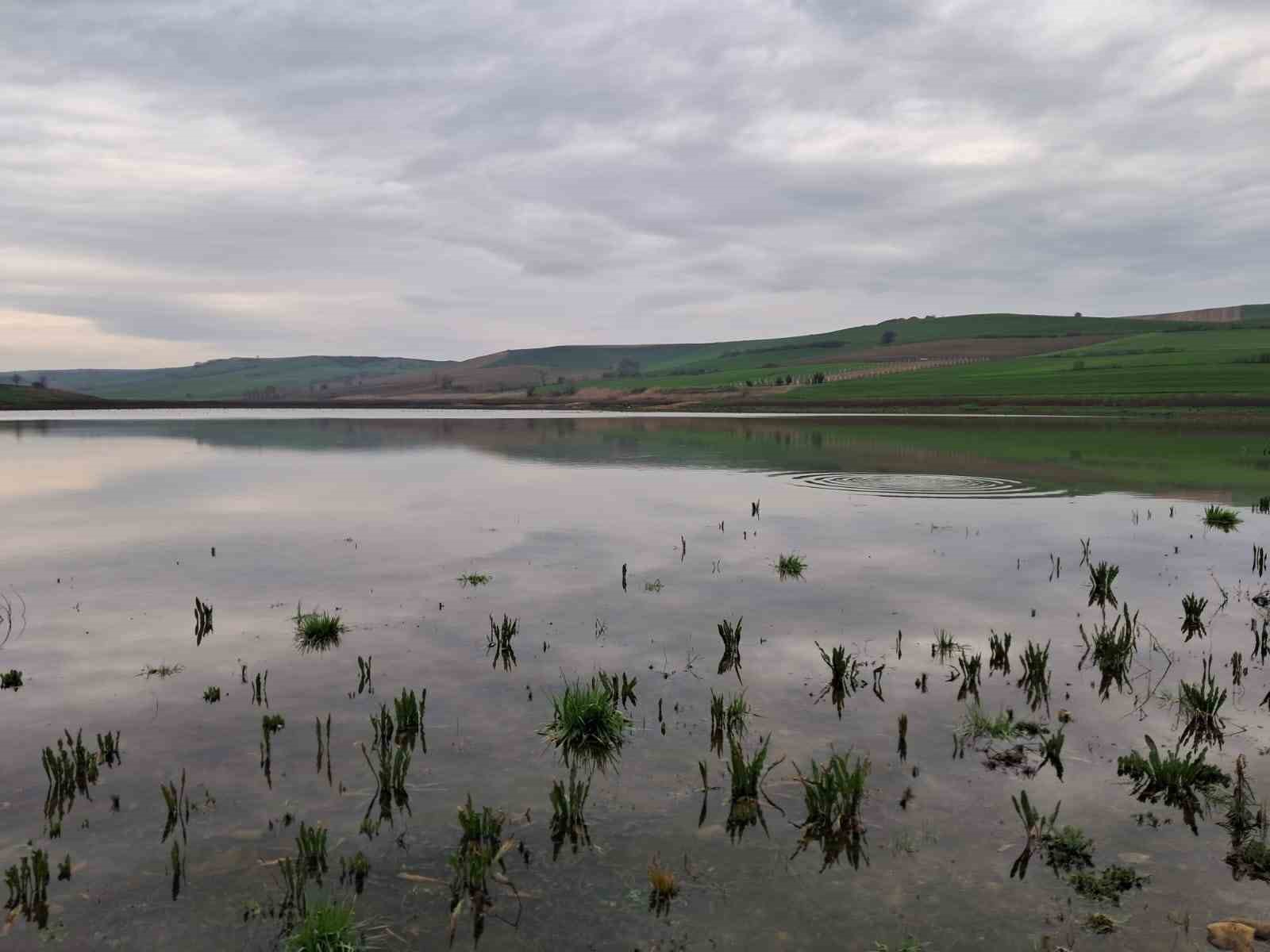 Kuruyan Yeşilsırt Göleti yağışlarla yeniden hayat buldu
