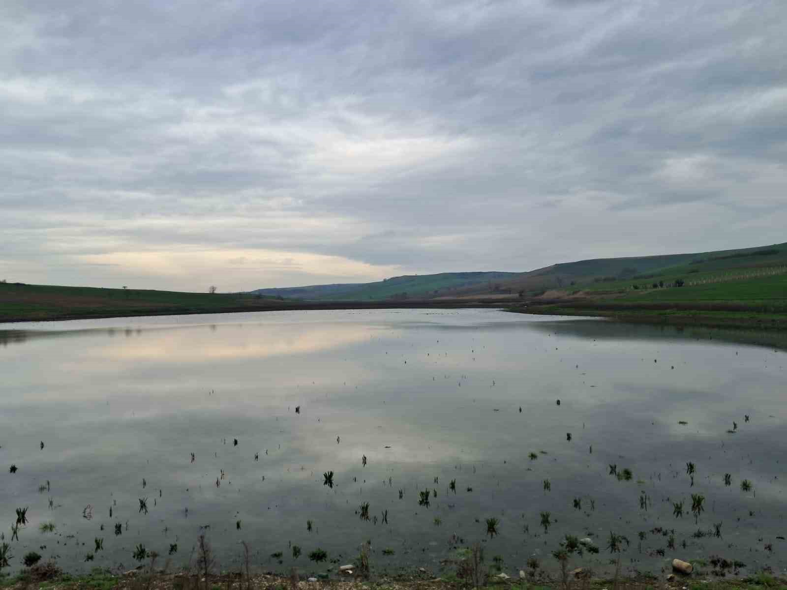 Kuruyan Yeşilsırt Göleti yağışlarla yeniden hayat buldu
