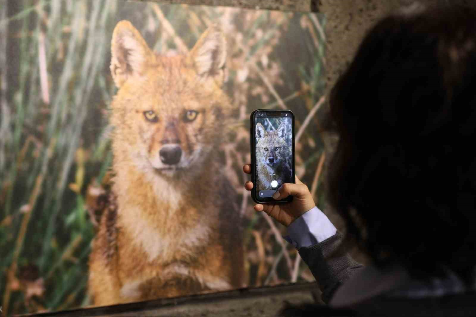 Kuş Cenneti’nden muhteşem kareler TBMM yolunda
