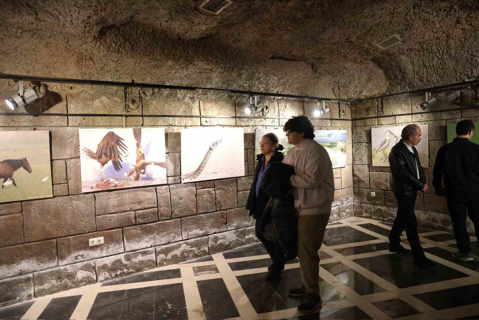 Kuş Cenneti’nden muhteşem kareler TBMM yolunda
