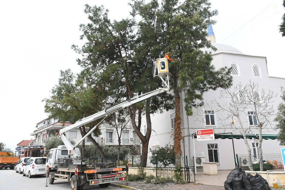 Kuşadası Belediyesi camileri Ramazan ayına hazırlıyor
