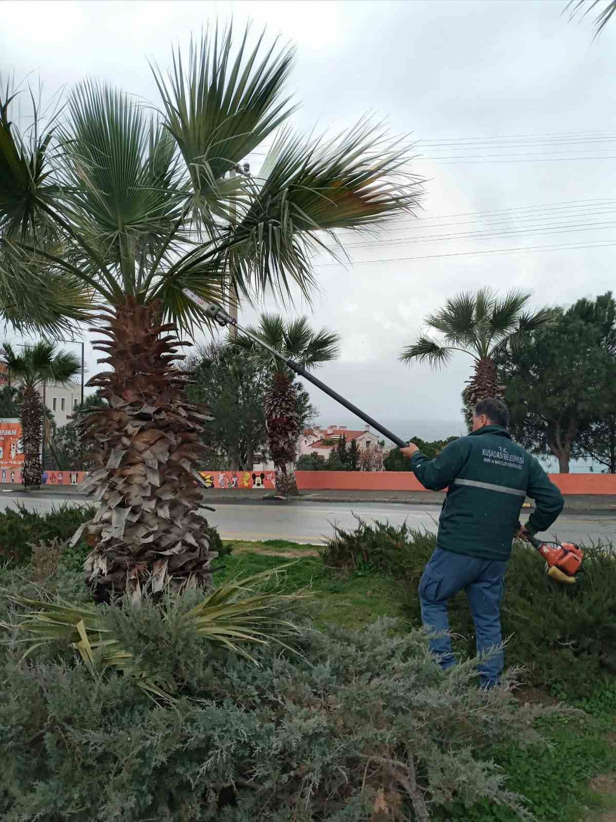 Kuşadası Belediyesi daha temiz ve daha yeşil bir kent için çalışıyor
