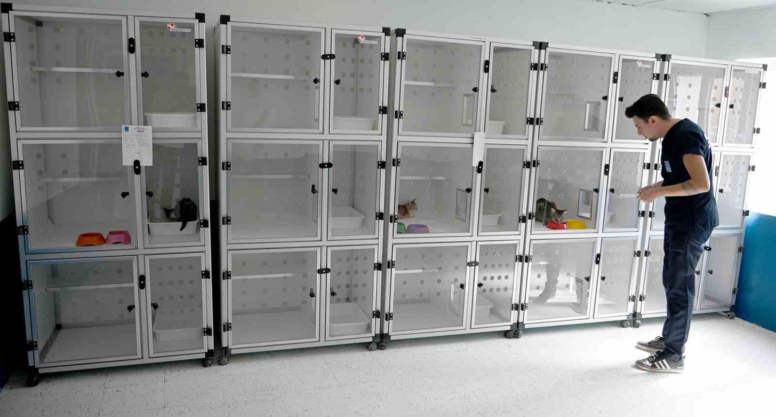 Kuşadası Belediyesi patili dostların yanında
Kuşadası Belediyesi patili dostların yanında