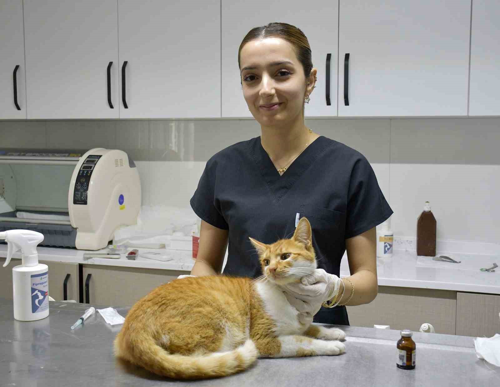 Kuşadası Belediyesi patili dostların yanında
Kuşadası Belediyesi patili dostların yanında