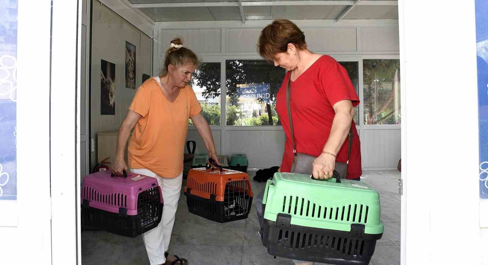 Kuşadası Belediyesi patili dostların yanında
Kuşadası Belediyesi patili dostların yanında