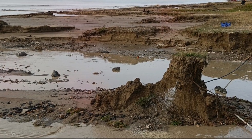 Kuşadası kıyılarında fırtına sonrası ortaya çıkan kemikler incelendi
