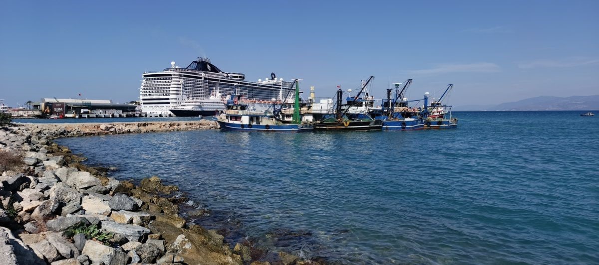 Kuşadası’nda 2 yeşil deniz kaplumbağası ve 1 caretta caretta ölü bulundu
Kuşadası’nda 2 yeşil deniz kaplumbağası ve 1 caretta caretta ölü bulundu