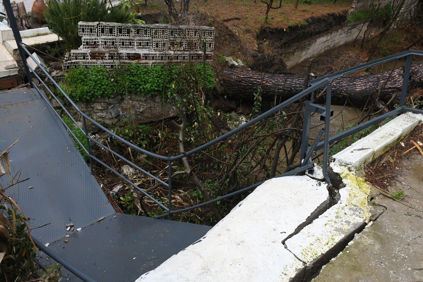 Kuşadası’nda dereye devrilen çam ağacı dere yatağını tıkadı, belediye ekipleri seferber oldu

