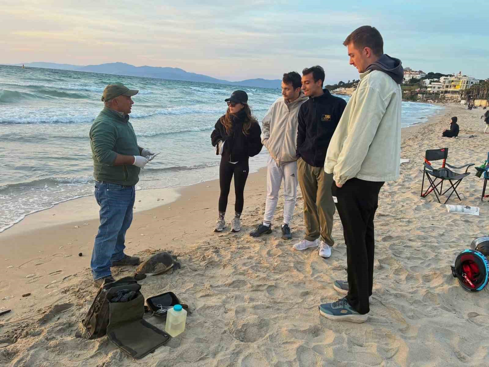 Kuşadası’nda iki deniz kaplumbağası ölü bulundu
