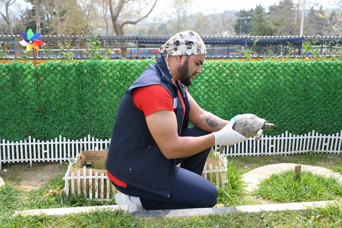 Kuşadası’nda kaplumbağalar için özel yaşam alanı oluşturuldu
Kuşadası’nda kaplumbağalar için özel yaşam alanı oluşturuldu