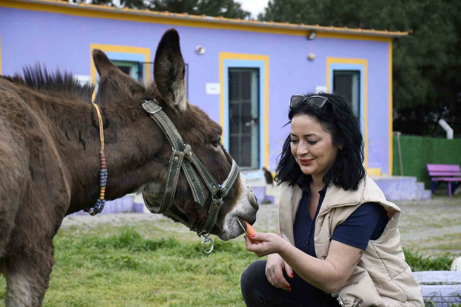 Kuşadası’ndan saplandığı çamurdan kurtarılan eşek koruma altına alındı
