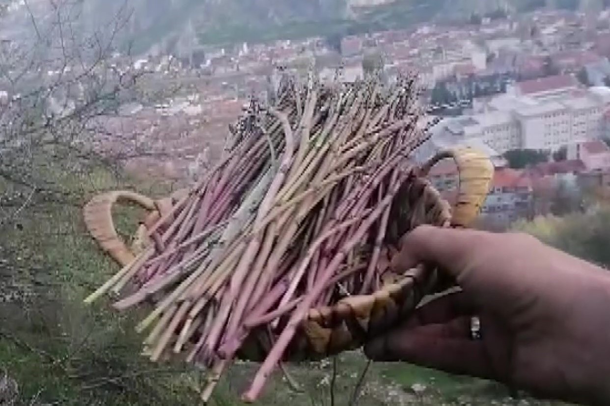 Kuşkonmaz için çıktığı dağda 6 torba çöp topladı
