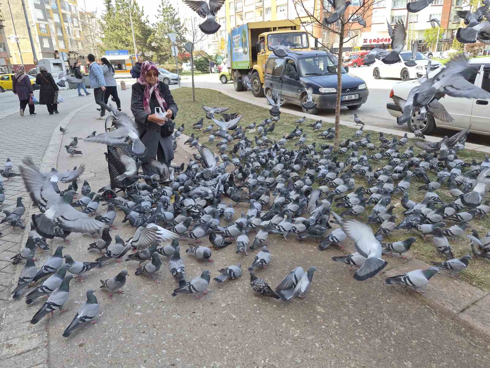Kuşlara yem dağıtan yaşlı kadın onlarca güvercinin arasında kaldı
