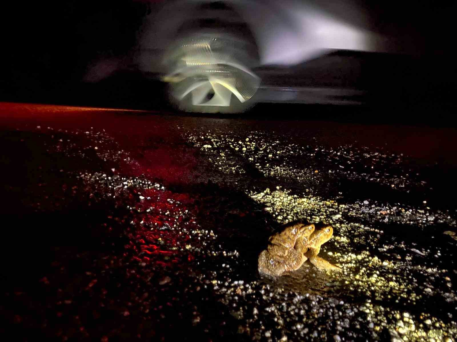 Kütahya’da 5 bin yıllık göç yeniden başladı
