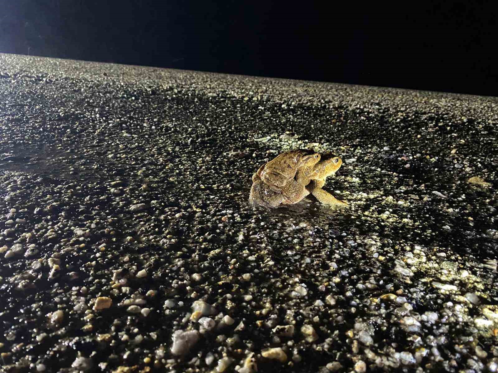 Kütahya’da 5 bin yıllık göç yeniden başladı
