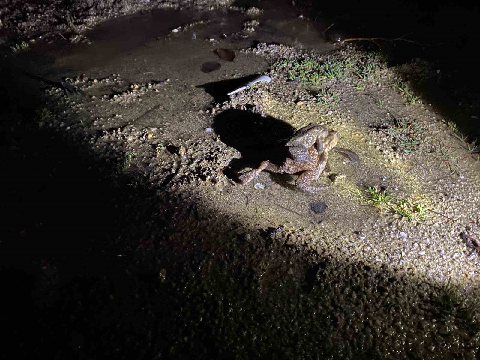 Kütahya’da 5 bin yıllık göç yeniden başladı
