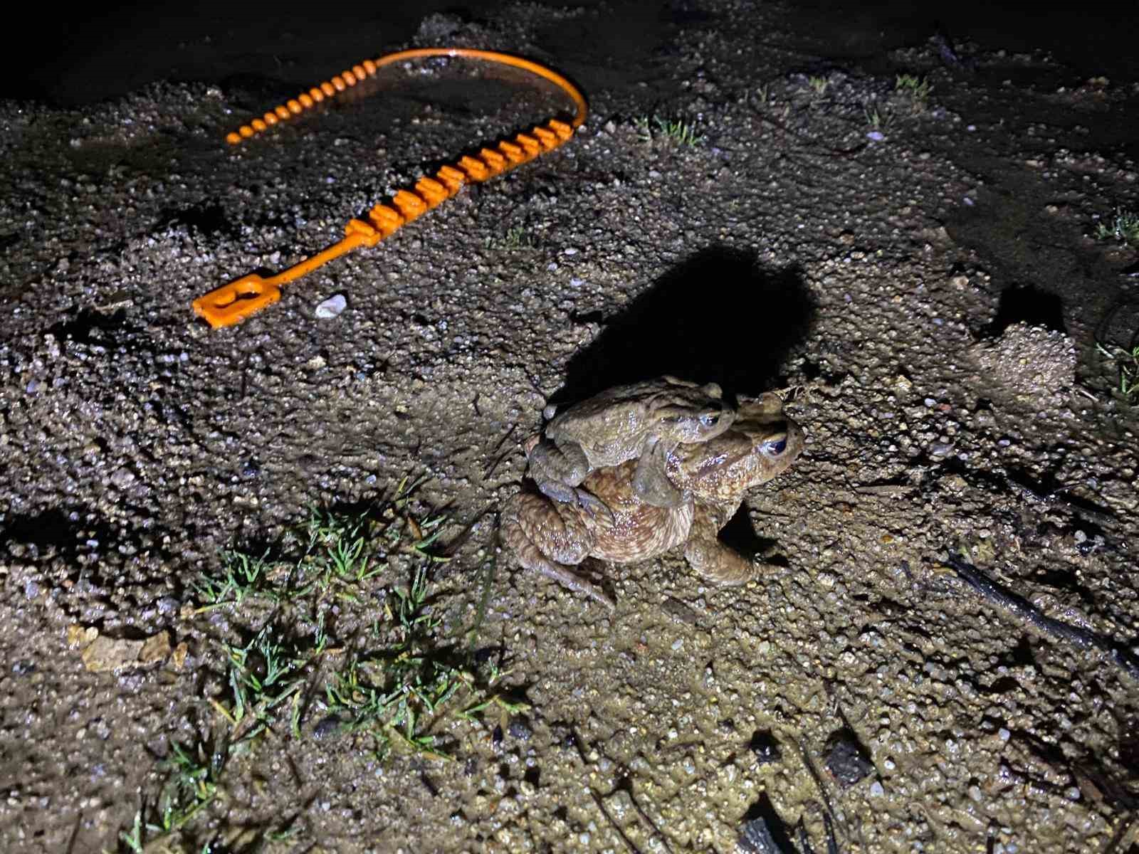 Kütahya’da 5 bin yıllık göç yeniden başladı
