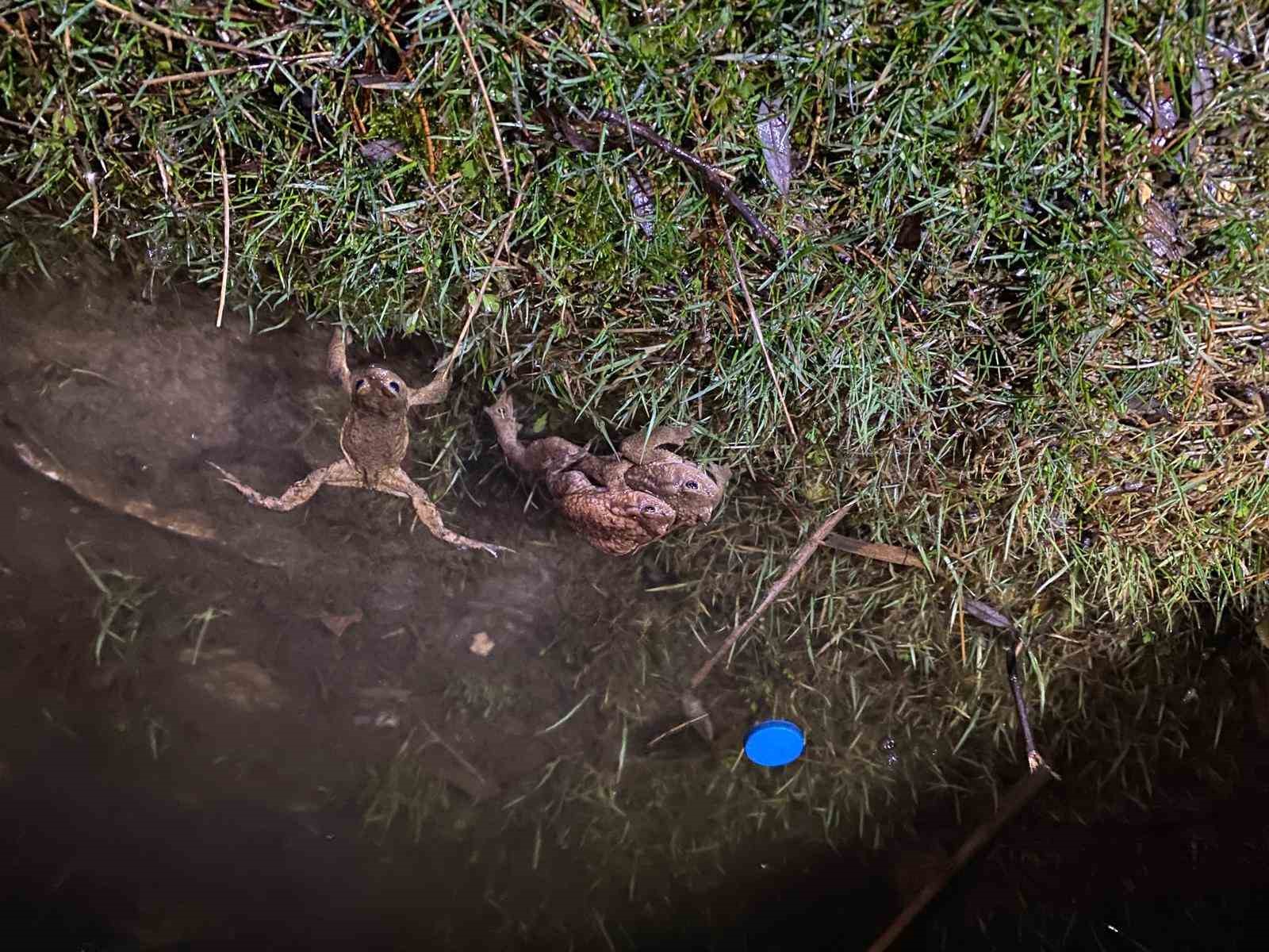 Kütahya’da 5 bin yıllık göç yeniden başladı
