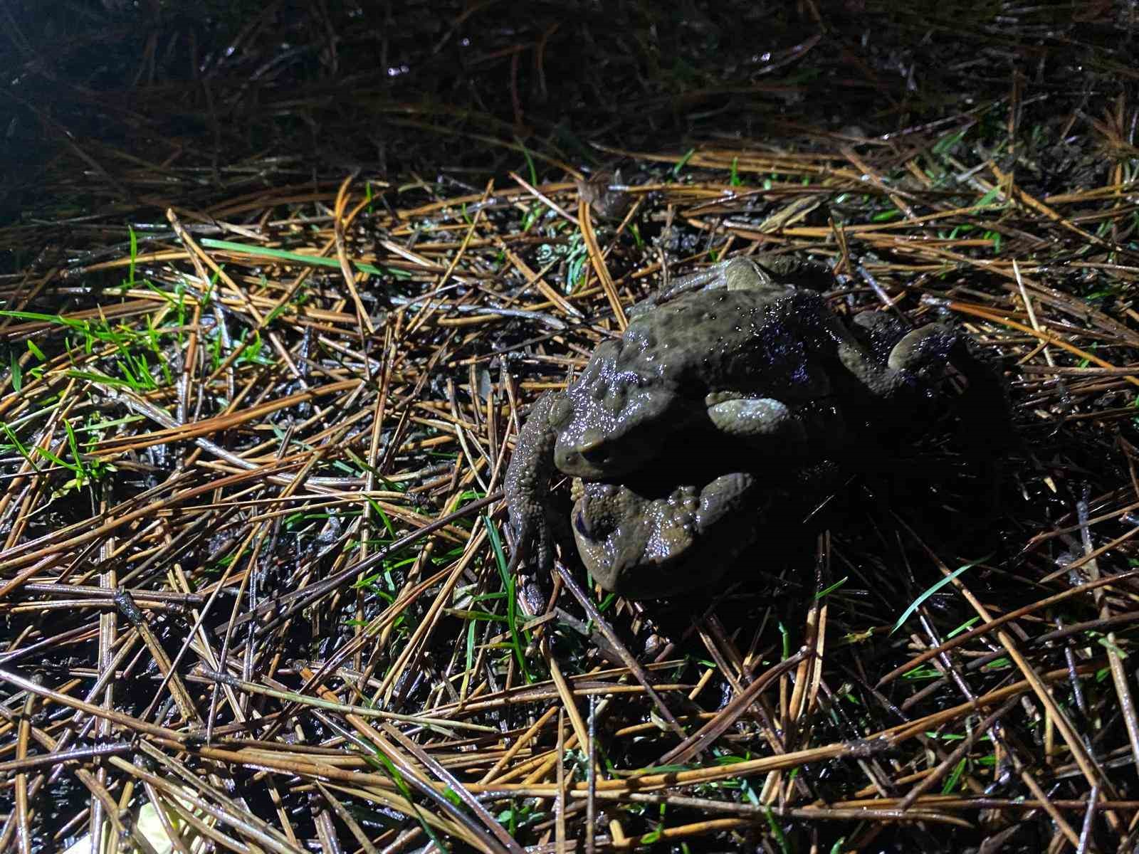 Kütahya’da 5 bin yıllık göç yeniden başladı
