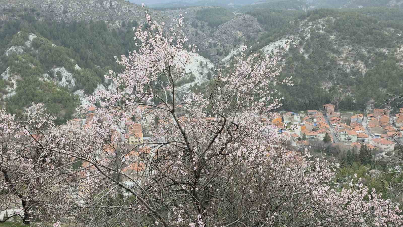 Kütahya’da badem ağaçları çiçek açtı
