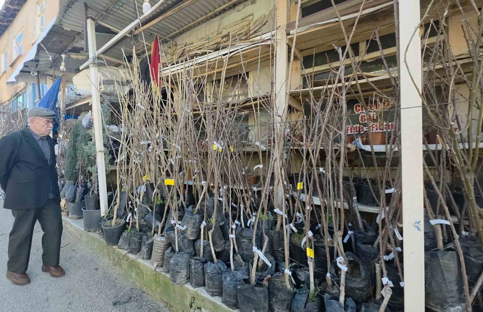 Kütahya’da fidan satışlarına ilgi
