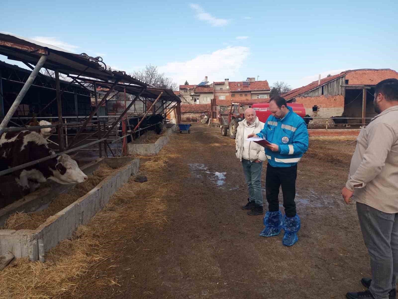 Kütahya’da hayvancılık işletmelerine yönelik kapasite tespiti sürüyor
