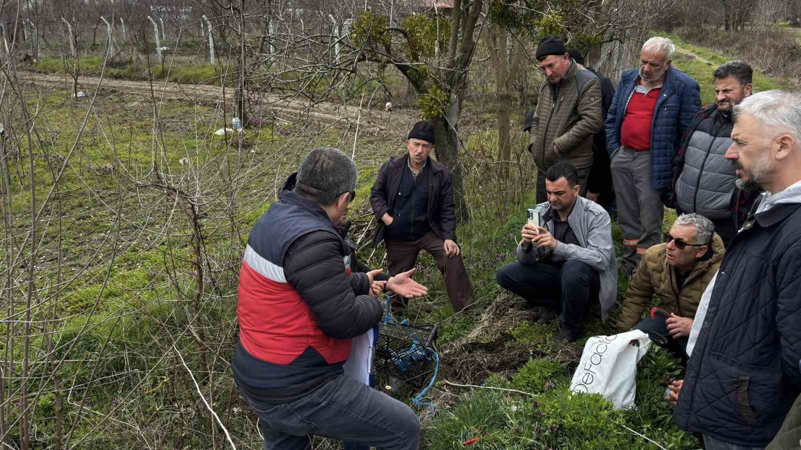 Kütahya’da meyve üreticilerine budama ve aşılama eğitimi
