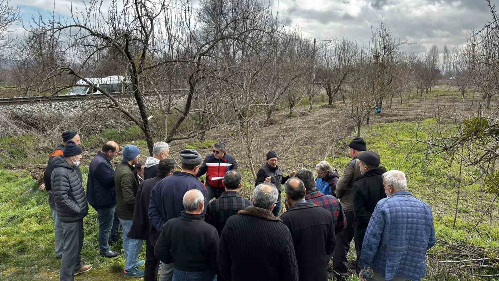 Kütahya’da meyve üreticilerine budama ve aşılama eğitimi
