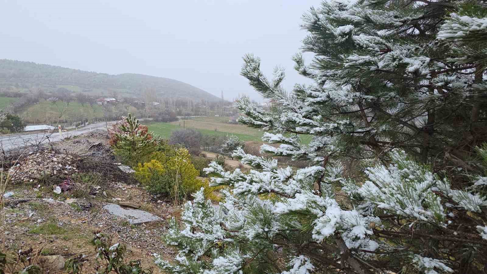 Kütahya’da nisan karı üreticileri endişelendirdi
