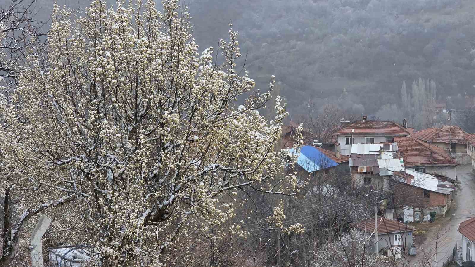 Kütahya’da nisan karı üreticileri endişelendirdi
