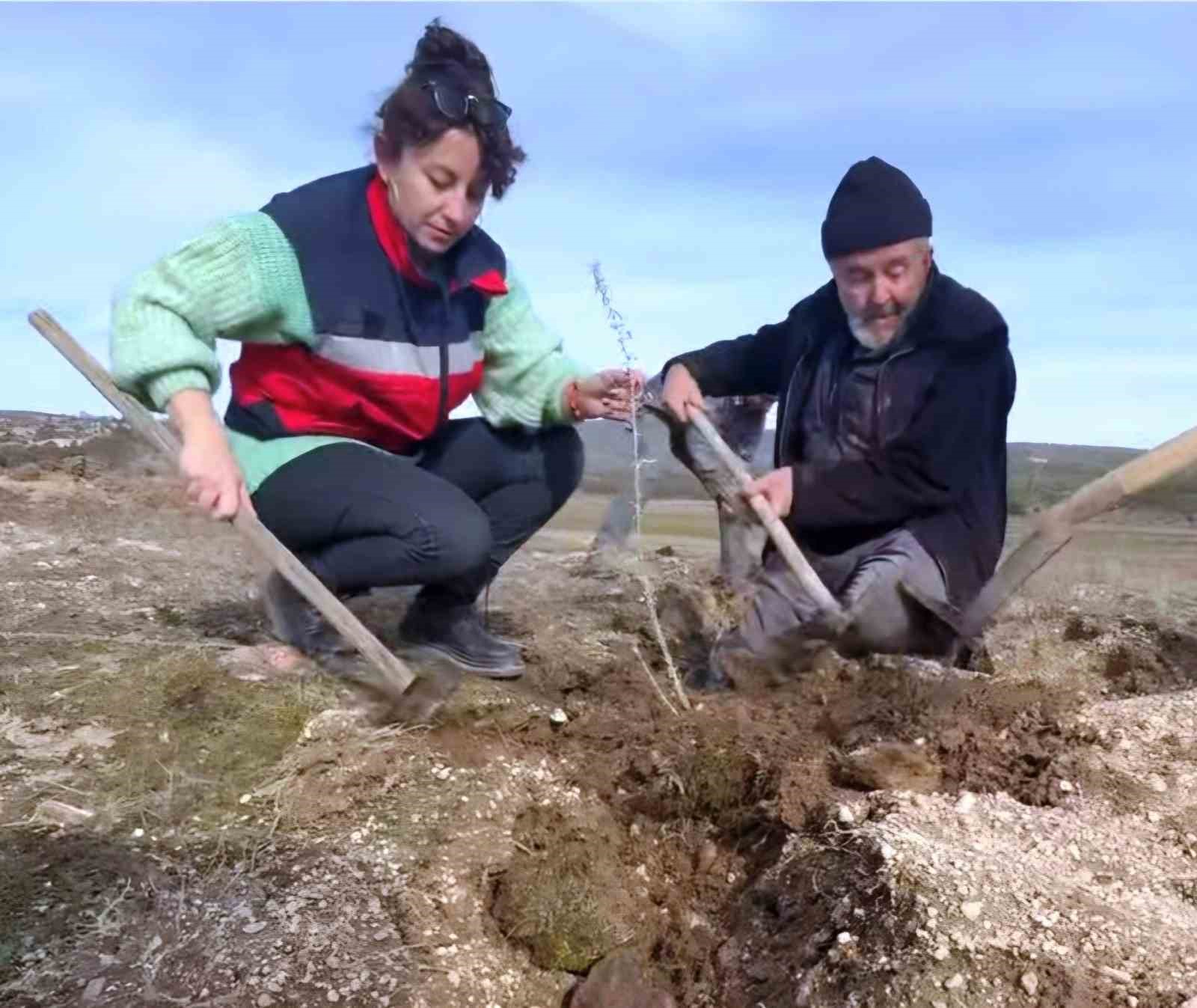 Kütahya’da ’Tuz Çalısı Projesi’ hayata geçirildi
